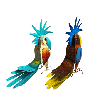 Kakatoe S 10xH34cm (7162)