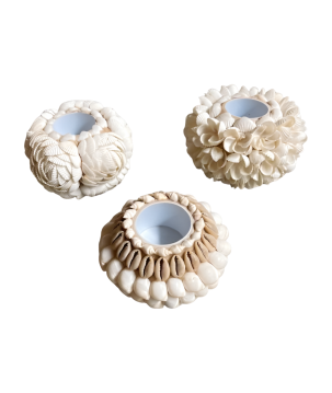 Candleholder shell D10H7cm(80633)