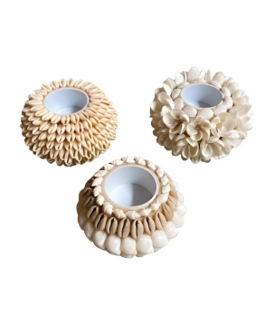 Candleh. shell D10H6cm(80988)