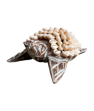 Turtle w shell 14x10cm(80995)