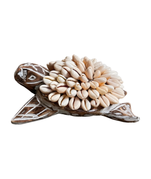 Turtle w shell 14x10cm(80995)