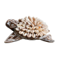 Turtle w shell 17x12cm(80995)
