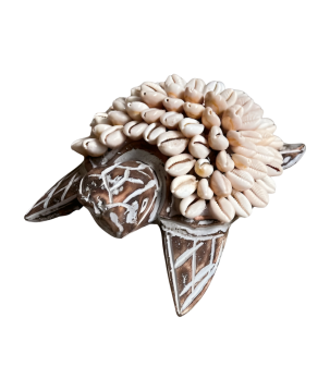 Turtle w shell 14x10cm(80995)