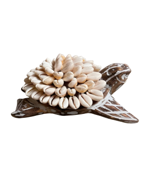 Turtle w shell 17x12cm(80995)
