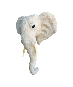 Elephant head XL H68(80922)