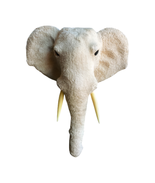 Elephant head XL H68(80922)
