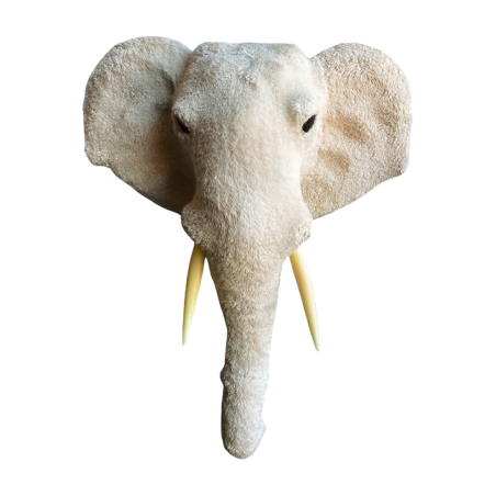 Elephant head XL H68(80922)