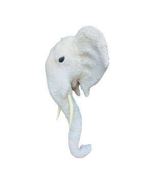 Elephant head XL H68(80922)