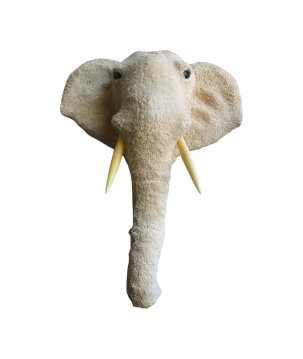 Elephant head XL H68(80922)