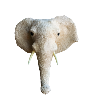 Elephant head L H47(80923)