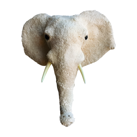 Elephant head L H47(80923)