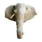 Elephant head L H47(80923)