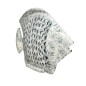 Fish walldeco L 50cm(80880)