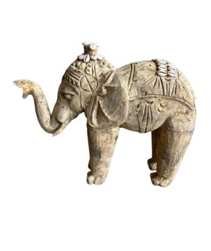 Elephant india S(3263)