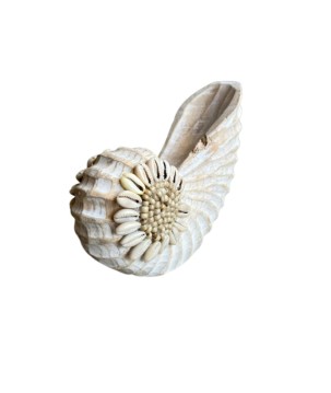 Wooden shell S 14x12 (7273)