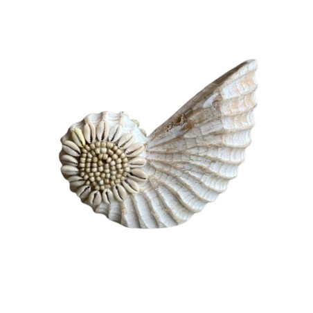 Wooden shell S 14x12 (7273)