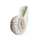 Wooden shell L (23x18)