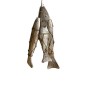 Fish on rope S/3 w.w.(7419)