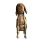 Dog Benno L 20xH60 (7060)
