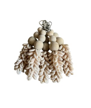 Keyhanger shell 5pcs white (3233)