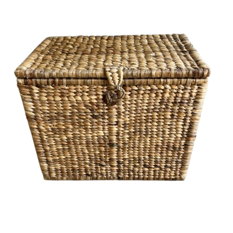 Box waterh. M 65x42H53 (7250)