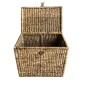 Box waterh. M 65x42H53 (7250)