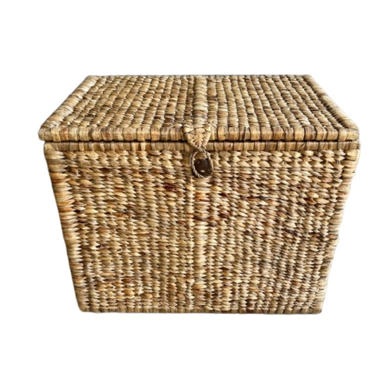 Box waterh L 73x50H60 (7251)