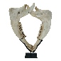 Jaw on stand (5896)