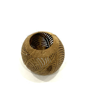 Coconut leaf (3879)
