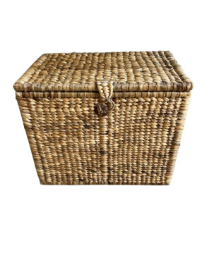 Box waterh. M 65x42H53 (7250)