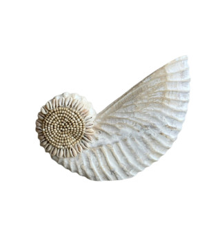 Wooden shell L 23x18 (7275)