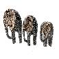 Elephant M w.w. (5916)