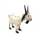 Goat small 33x9H29cm(80124)