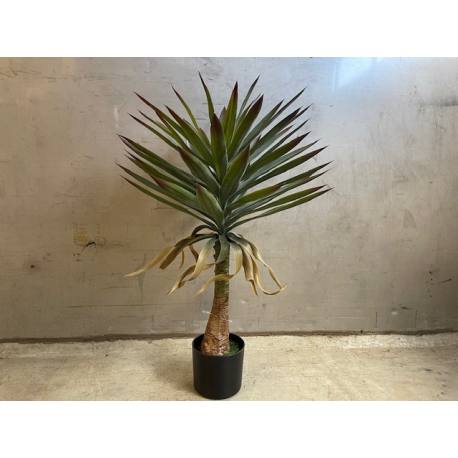 Yucca plant 90cm