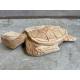 Turtle teak D30m (80369)