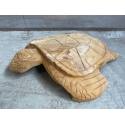 Turtle teak D45cm(80370)