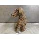 Sitting dog rope 45cm(80265)