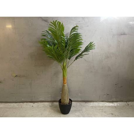 Palm in pot 80cm(80528)