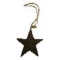Star old wood hang 10x10(3019)
