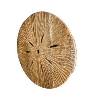 Deko Sonne Teak D80cm (7329)