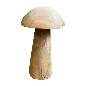 Mushroom teak 25cm(3143)