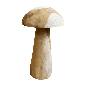 Mushroom teak 33cm(3144)