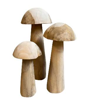 Mushroom teak 40cm(3145)