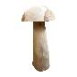 Mushroom teak 40cm(3145)