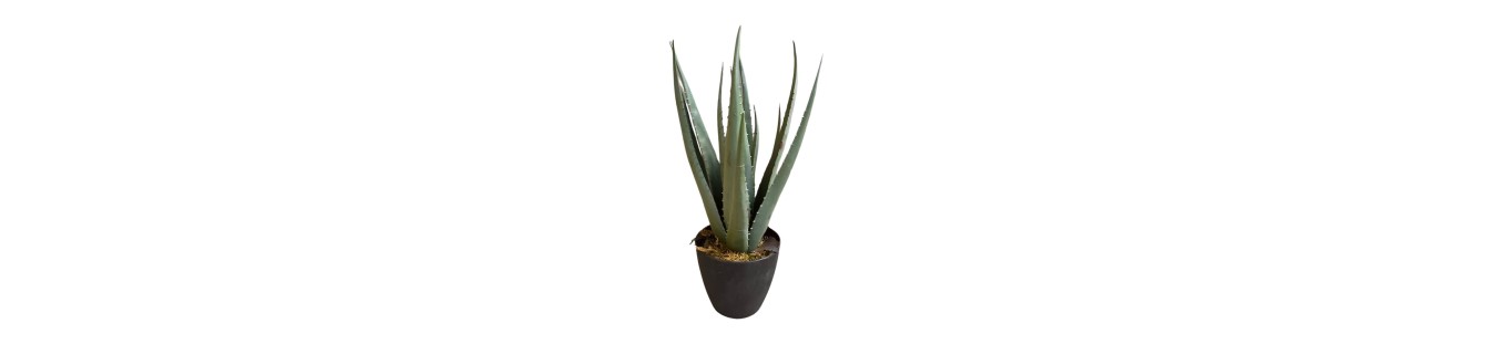 Artificial Plants