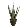 Kunst Planten